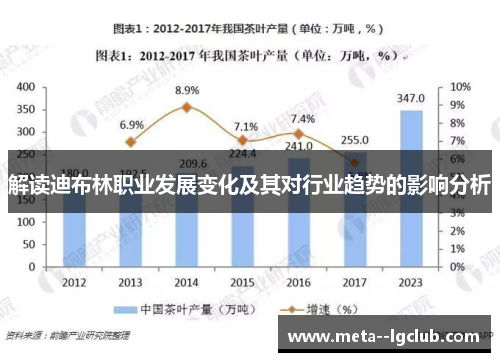 解读迪布林职业发展变化及其对行业趋势的影响分析